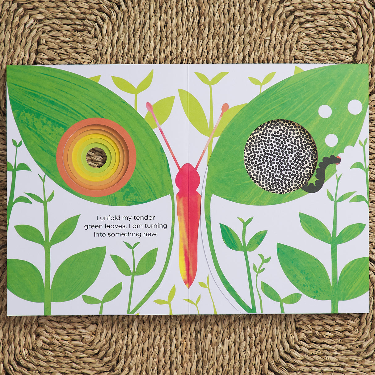 Little Seed