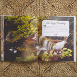 Step Inside a Fairytale