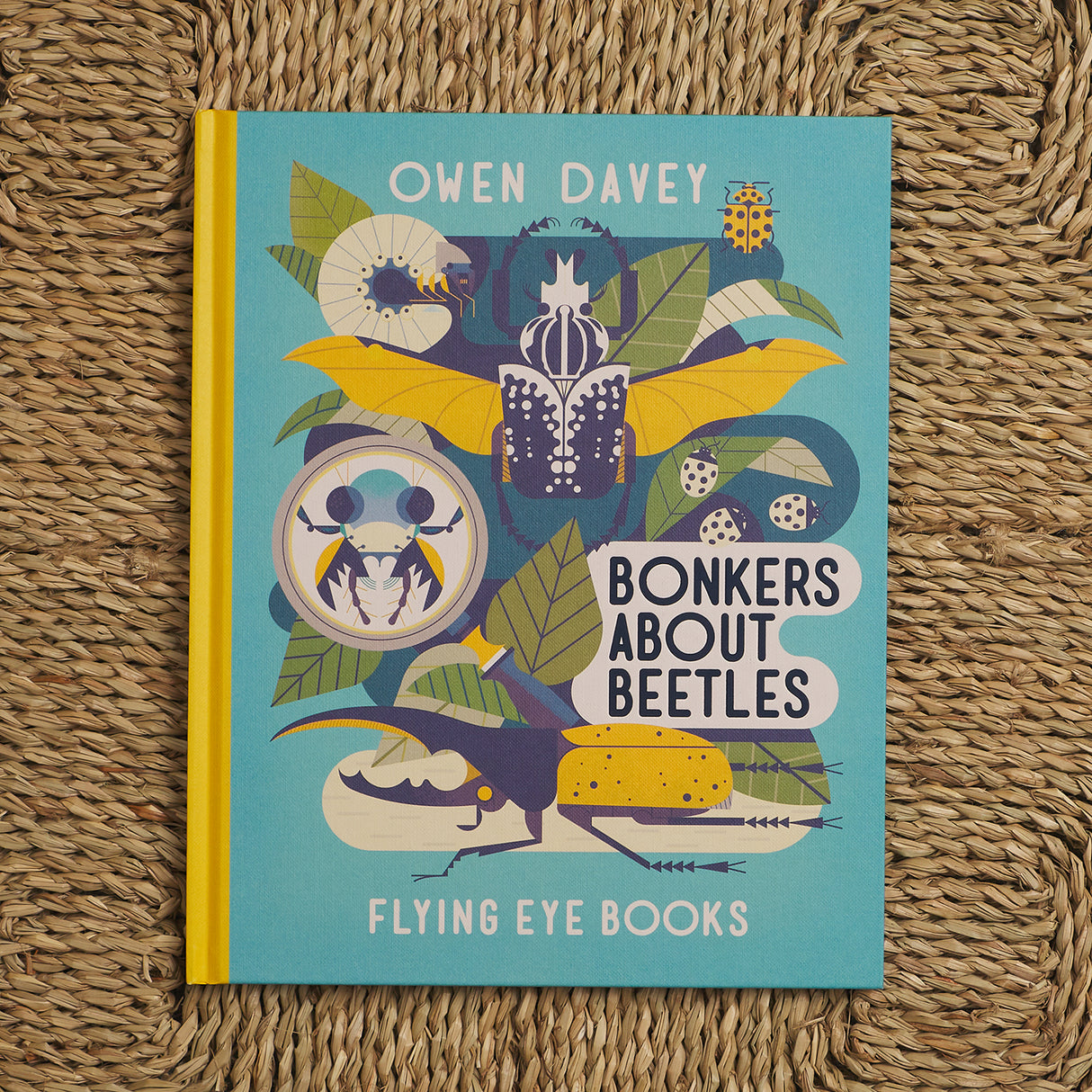 Bonkers About Beetles