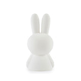 Miffy Star Light Lamp - Small