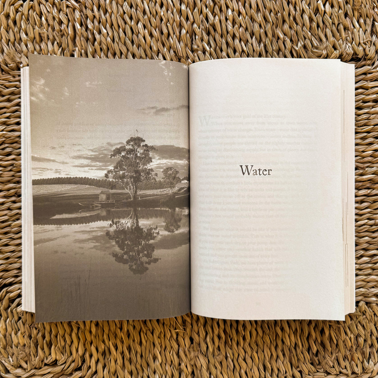 Recipe for a Kinder Life