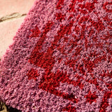 Indiana Door Mat