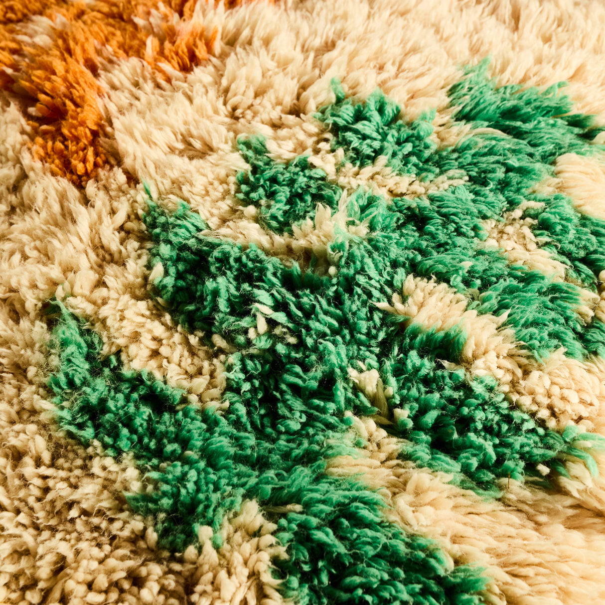 Teo Beni Rug