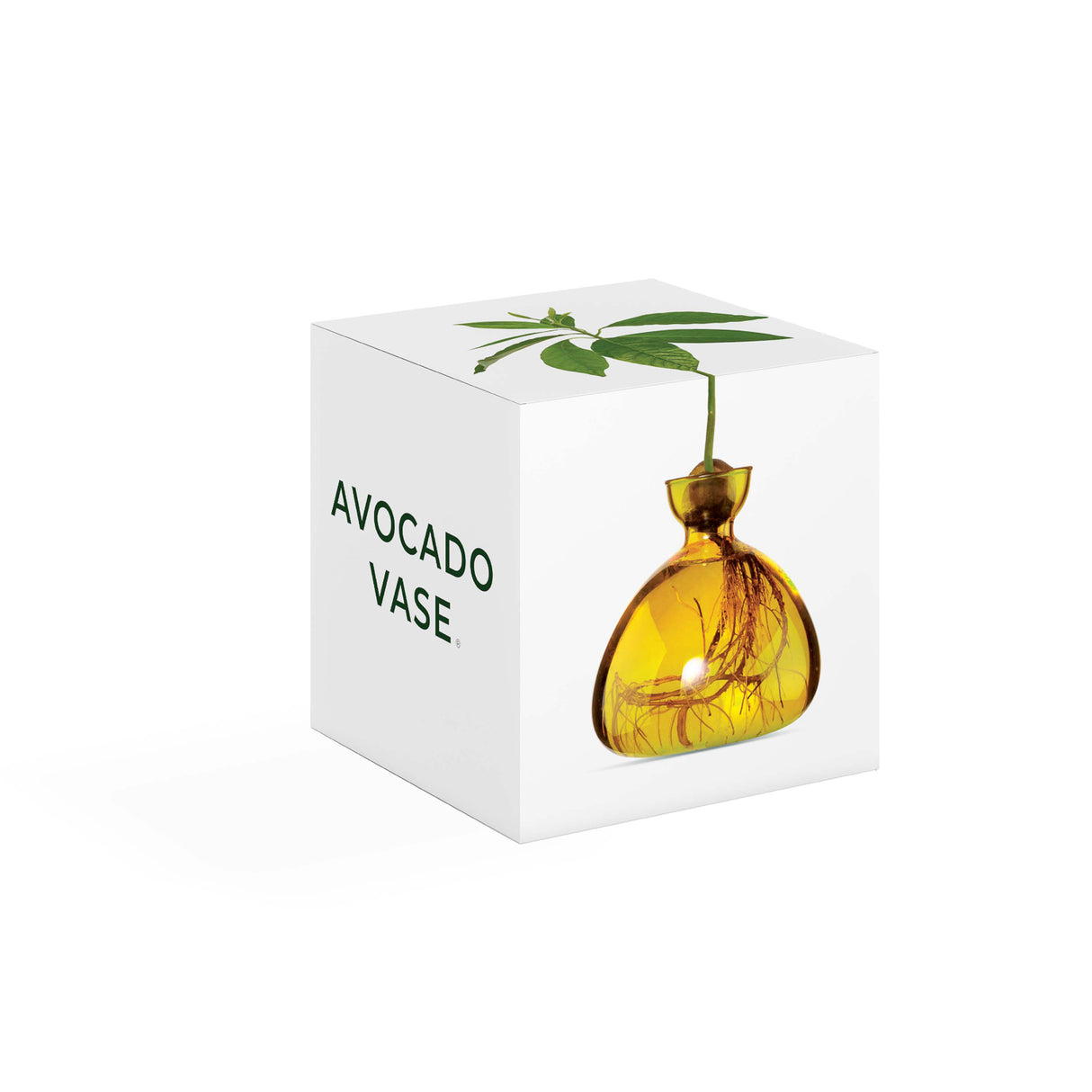 Avocado Vase - Mellow Yellow
