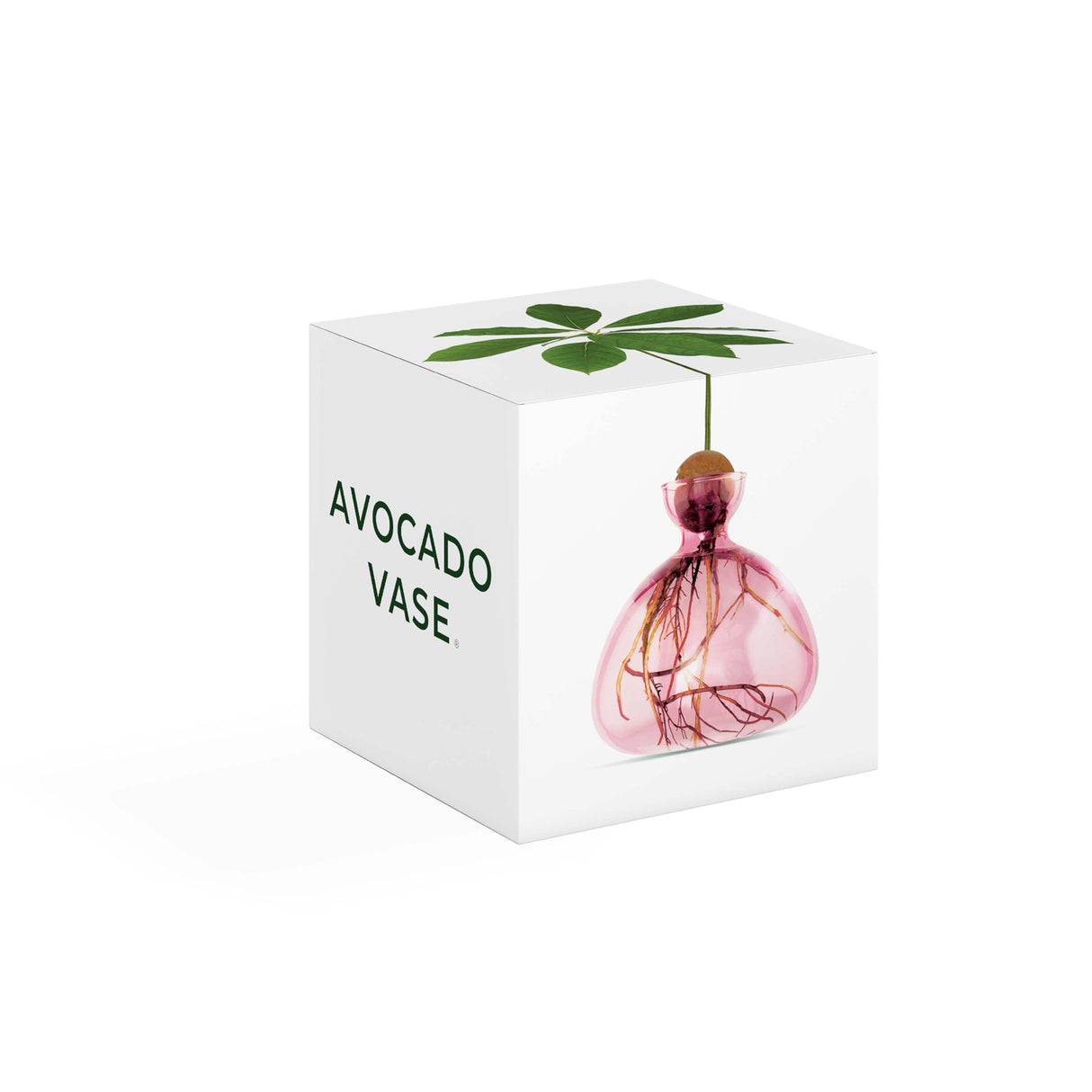 Avocado Vase - Rose Pink